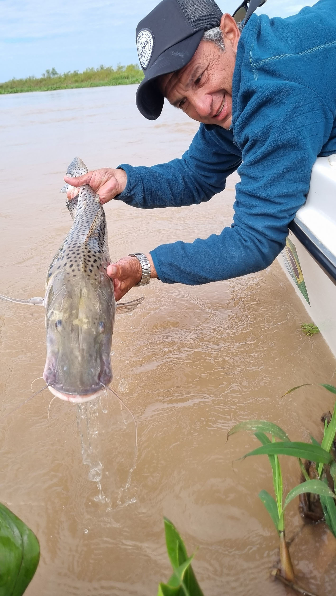 Se Permite Solo Pesca Y Devoluci N De Dorados Y Surubies Revista El Pato