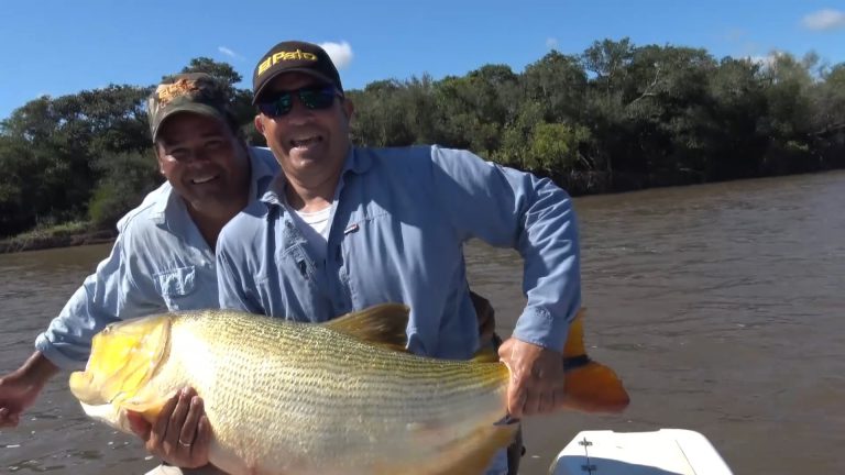 Pesca de un dorado en Monte Caseros