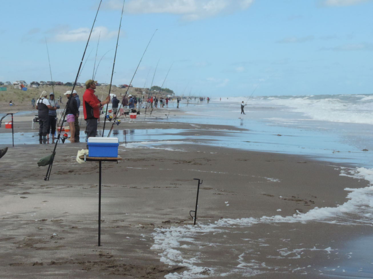 La pesca de la Corvina a Surfcasting