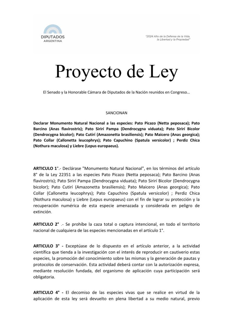 PROYECTO DE LEY