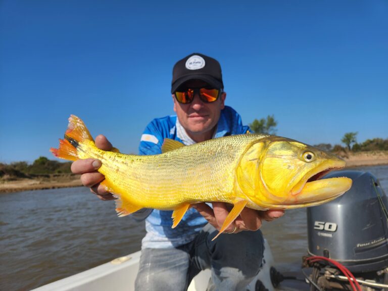 LOS DORADOS SIGUEN BRILLANDO