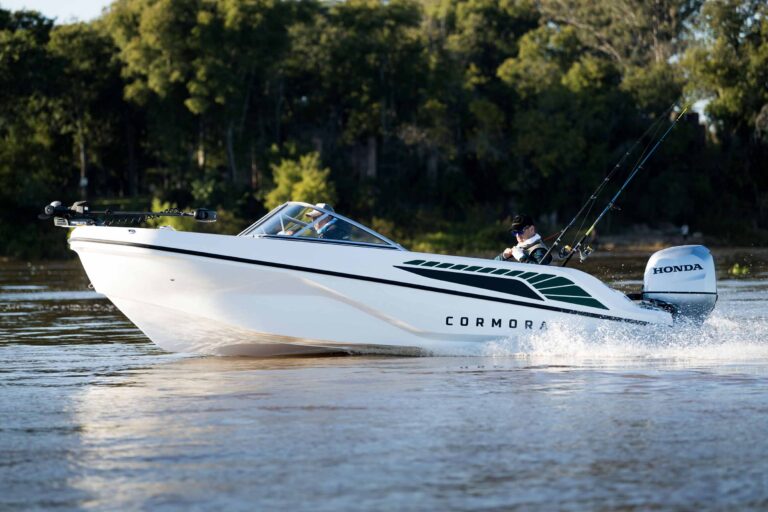 NUEVA CORMORÁN C55