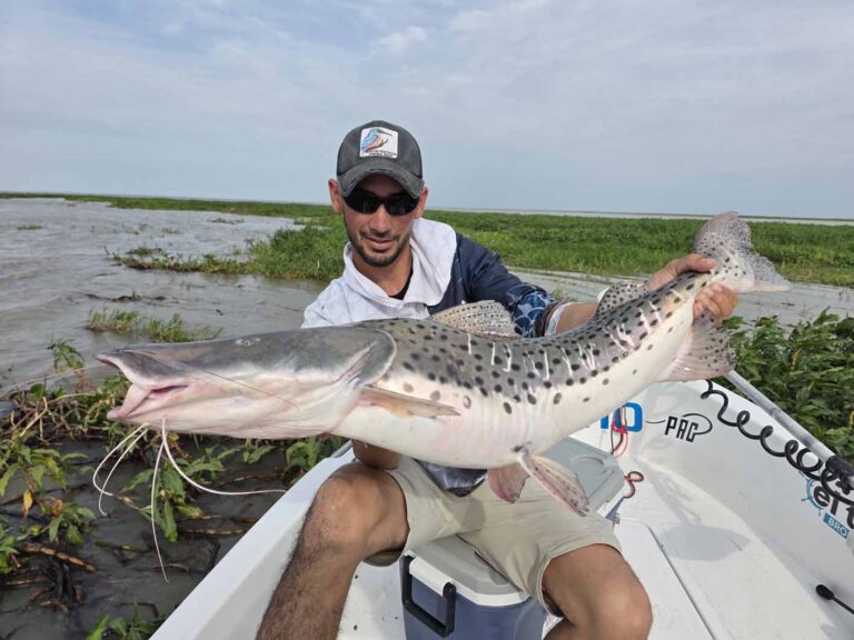 LINDAS SORPRESAS DE NUESTRO RÍO