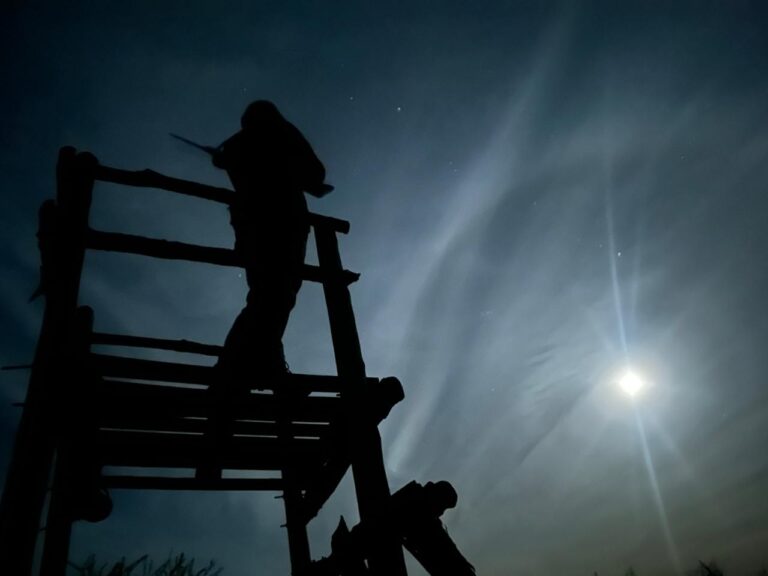 SELVA DE ESPINAS: NUEVA AVENTURA ENTRERRIANA TRAS LOS AXIS