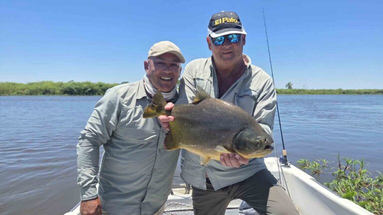 EL PACÚ: SÍMBOLO DE ESQUINA