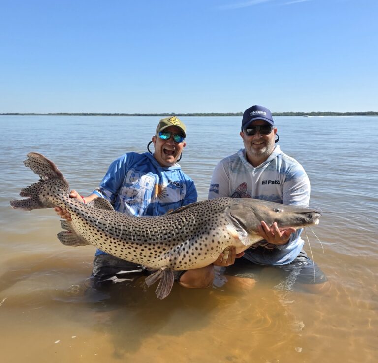 LAS BESTIAS SIGUEN ESTANDO…