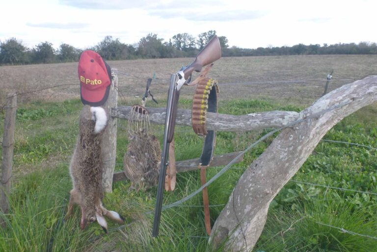 LA LIEBRE EUROPEA… ¿VILLANA O MÁRTIR?