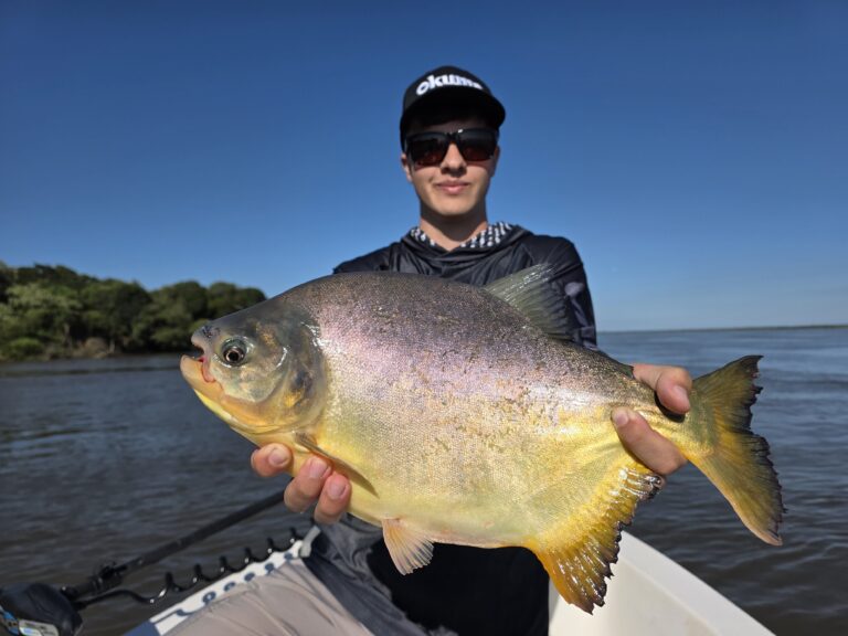 EL MUNDO DEL REVÉS…