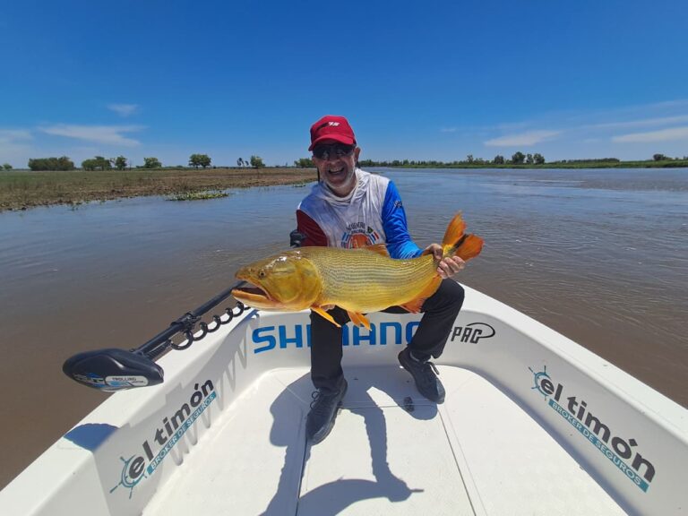 PRESENCIA DORADA EN AROCENA