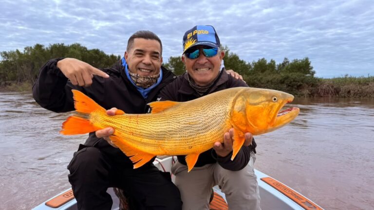 ENTRE AMIGOS Y DORADOS