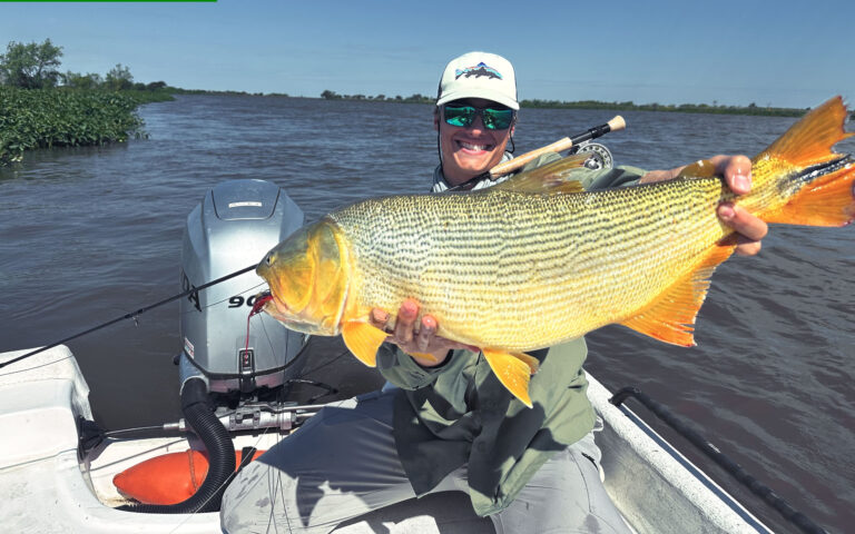 EL DELTA COBRA VIDA